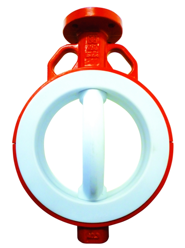 ABO 599B Dn 125 Pn 6 Затворы #2