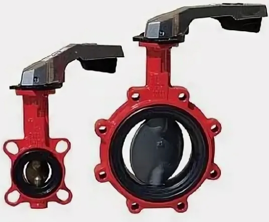 ABO 613T Dn 65 Pn 10 Затворы #3