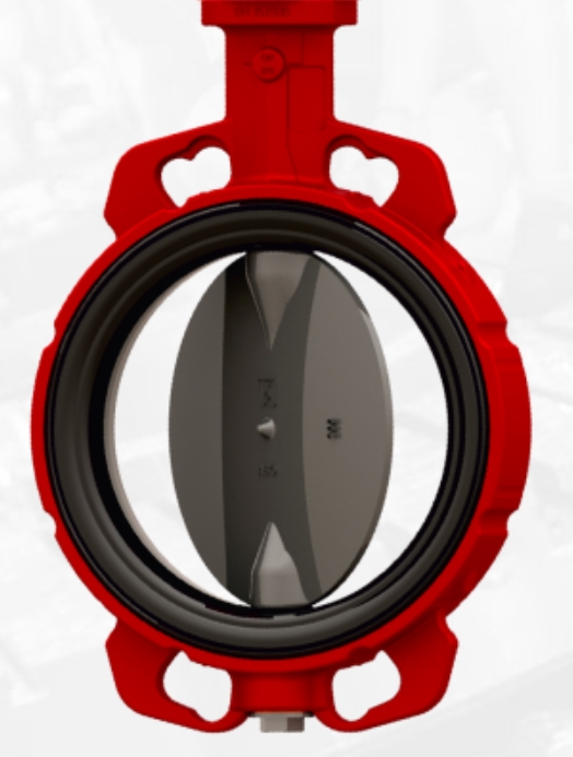 ABO 910B Dn 32 Pn 16 Затворы #1